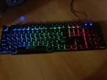 259x194