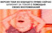 1280x826