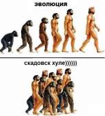 529x581