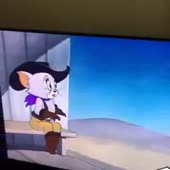 360x360