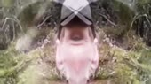 640x360