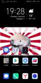 1080x2160