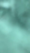 320x564