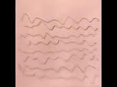 320x240