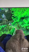 540x960