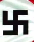 384x480