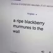 480x480