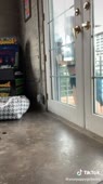 576x1024