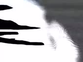 480x360
