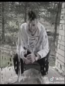 460x600