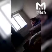 360x360
