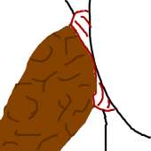 400x400