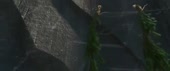 640x268
