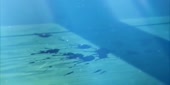 480x240