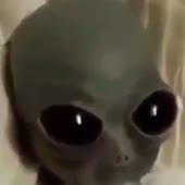 720x720