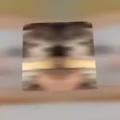 480x480