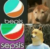 500x490