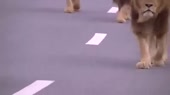 400x224