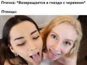 828x626