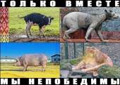 604x431