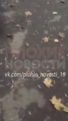 204x360
