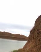 288x360