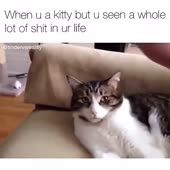360x360