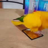 720x720