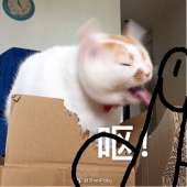 418x418