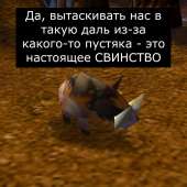 960x960