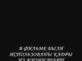 320x240