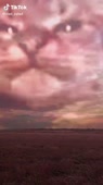 540x960