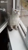 406x720