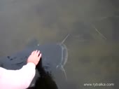 480x360