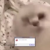 720x720