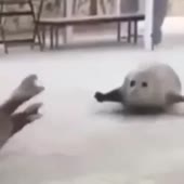 360x360