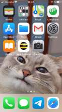 640x1136