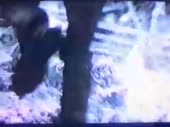 480x360