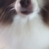 360x360