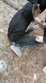 360x640
