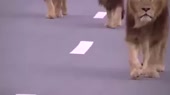 400x224