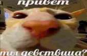 1080x709