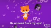 480x262