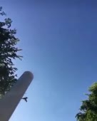288x360