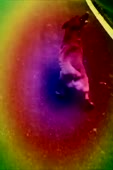 600x900
