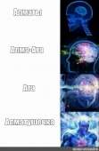 480x732