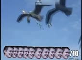 490x360