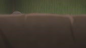 1280x720