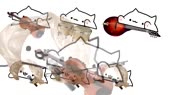 640x360