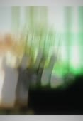 346x500